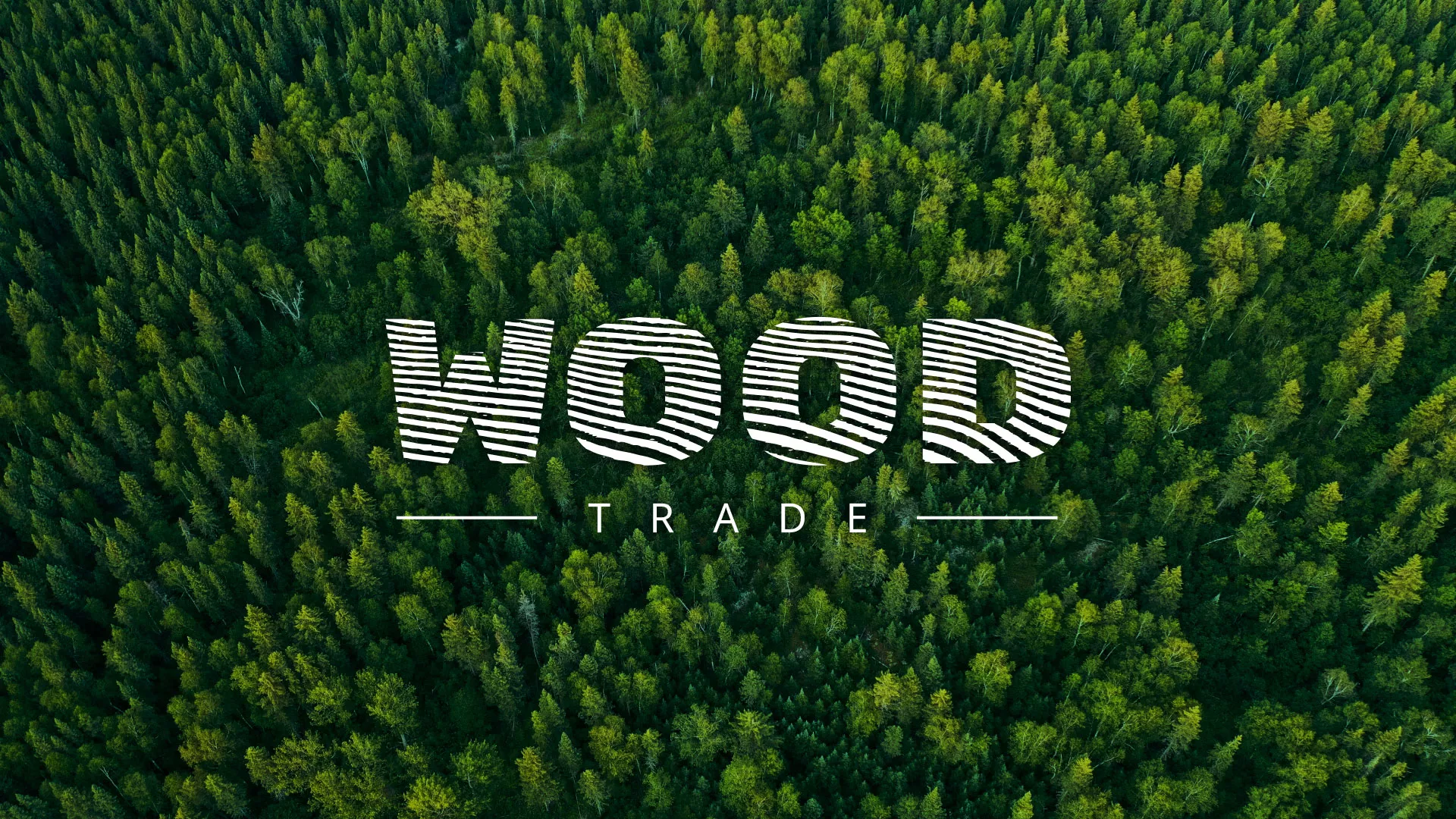 Разработка интернет-магазина компании «Wood Trade» в Миньяре