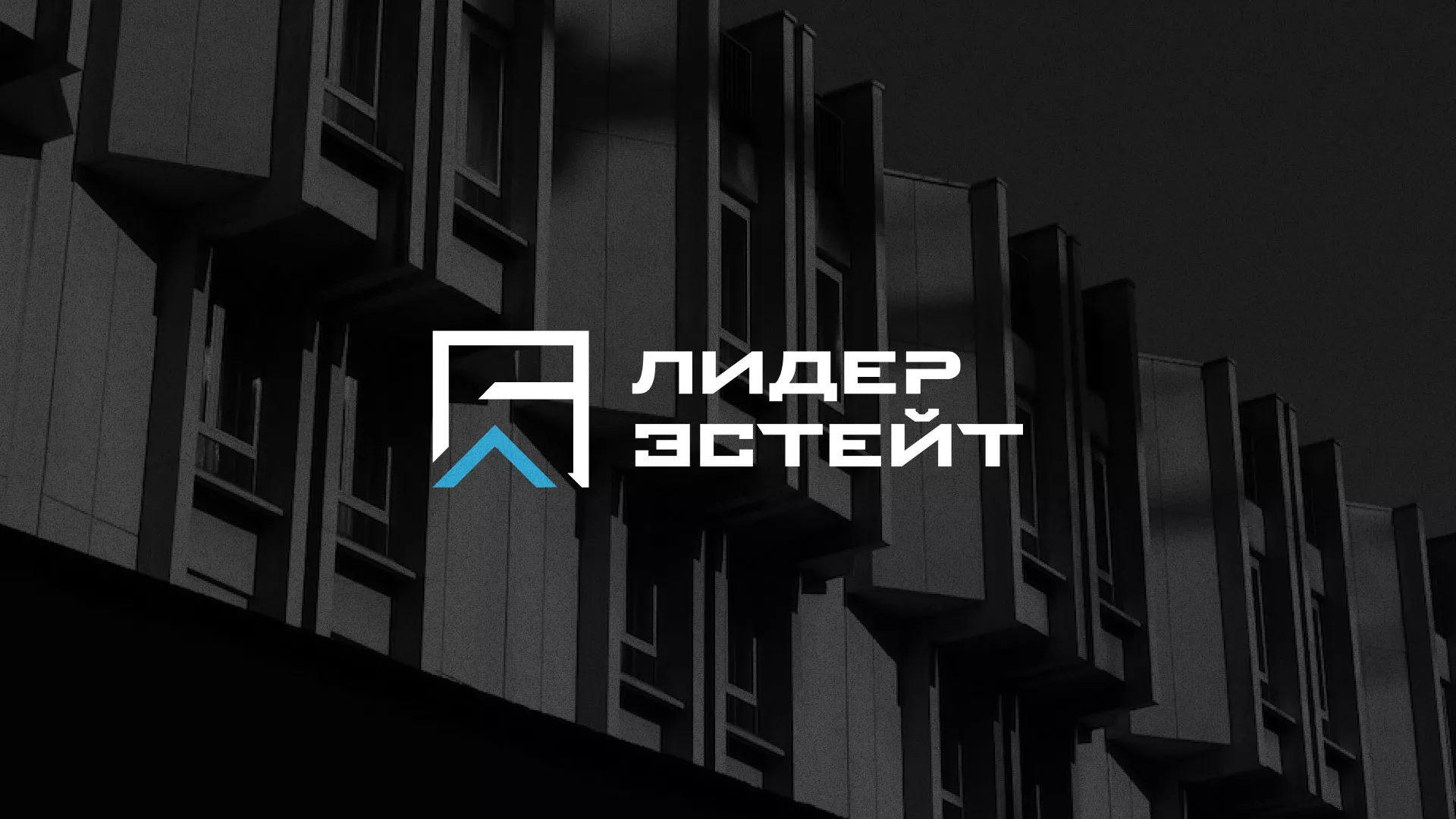 Разработка логотипа агентства недвижимости «Лидер Эстейт» в Миньяре